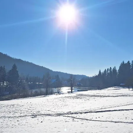 Slosarjeva House - Alpine View & Modern Comfort Preddvor