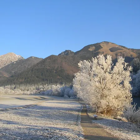 Slosarjeva House - Alpine View & Modern Comfort *