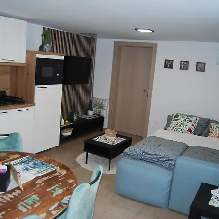 Slosarjeva Hisa Apartment