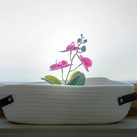 Slosarjeva House - Alpine View & Modern Comfort Apartamento *