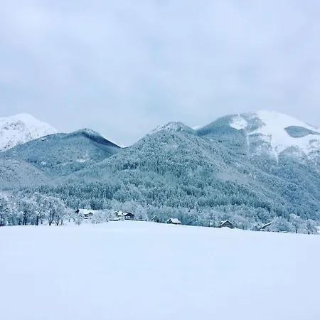 Slosarjeva Holiday House Preddvor