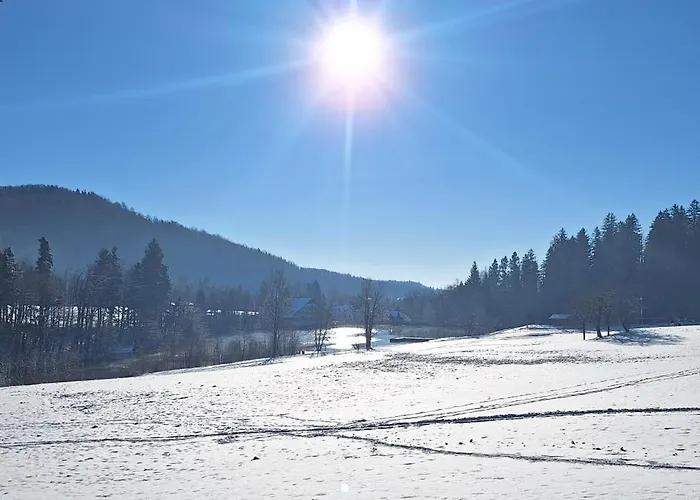 Slosarjeva House - Alpine View & Modern Comfort Preddvor