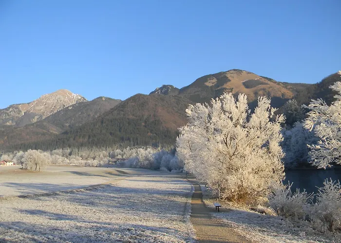 Slosarjeva House - Alpine View & Modern Comfort *